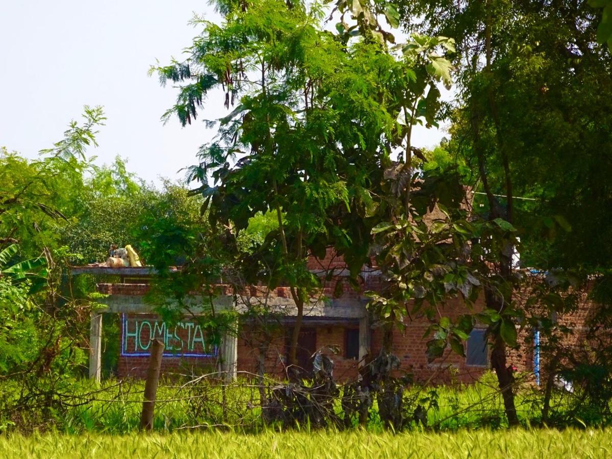 Maji Homestay Khajuraho Exterior photo